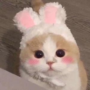 女奥特曼被❌到流白水
