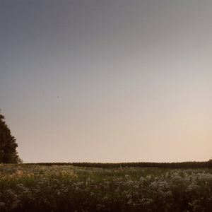 女奥特曼被❌到流白水
