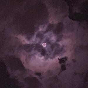 女奥特曼被❌到流白水
